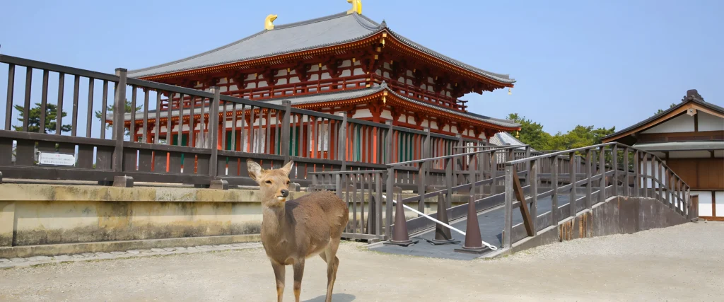 Must-Visit Places in Japan Nearby